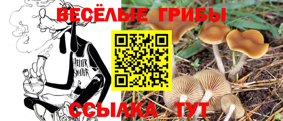Псилоцибиновые грибы Psilocybine cubensis  как найти наркотики  Острогожск  Вход с VPN  Псилоцибиновые грибы Cubensis 