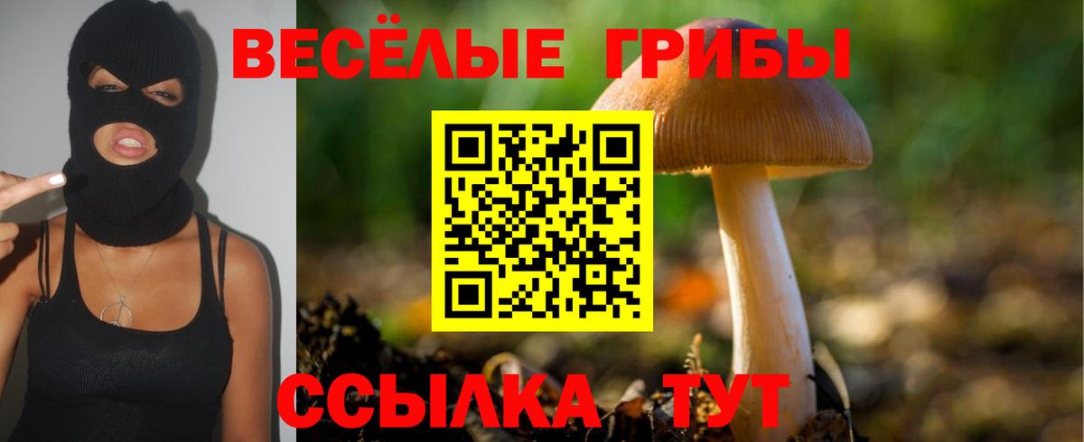 Галлюциногенные грибы Magic Shrooms Острогожск